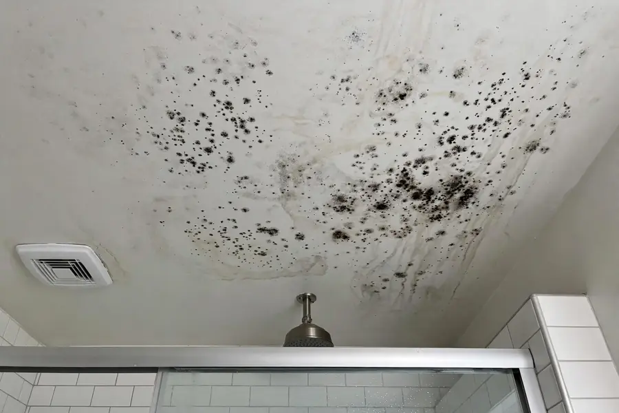 Bathroom ceiling with dark spots above a shower