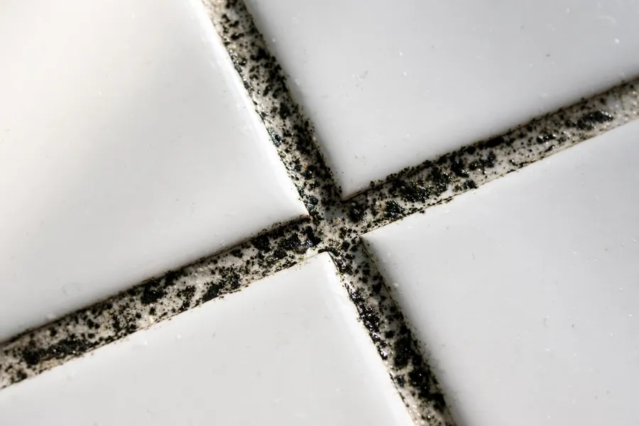 Dark spots on bathroom grout beside clean white tile