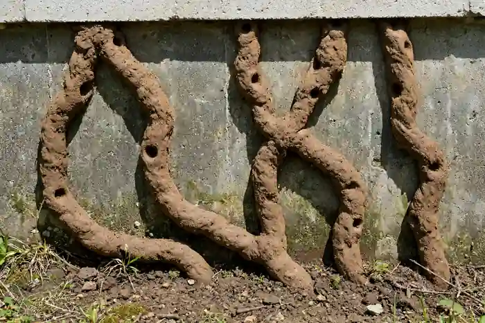 Mud tubes on a foundation from subterranean termites